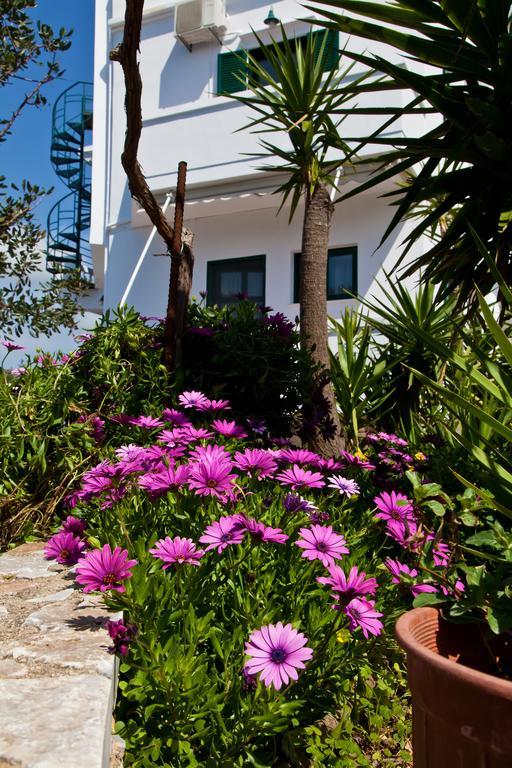 Villa Smaragdi Falászarna Kültér fotó